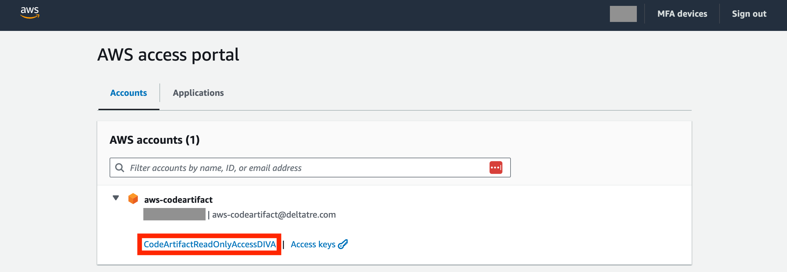Codeartifact Readonly Access Diva